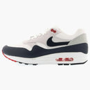 Nike Air Max 1 Patch Paris