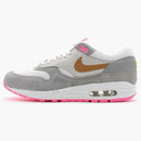 Nike Air Max 1 Pink Pack Flamingo