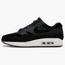 Nike Air Max 1 Rebel Skulls