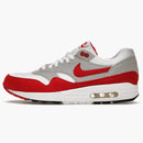 Nike Air Max 1 Sport Red (2009)