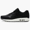 Nike Air Max 1 Stingray Pack