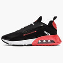 Nike Air Max 2090 Reverse Duck Camo (2020)