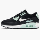 Nike Air Max 90 Black Summit White Igloo (women's)