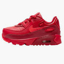 Nike Air Max 90 City Special Chicago (td)