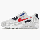 Nike Air Max 90 Euro Tour (2020)