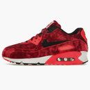 Nike Air Max 90 Infrared Velvet (women's)