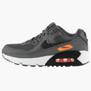 Nike Air Max 90 Iron Grey (gs)