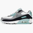 Nike Air Max 90 Ltr Particle Grey Teal (gs)