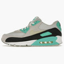 Nike Air Max 90 Neutral Grey Cool Mint (women's)