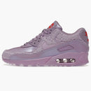 Nike Air Max 90 Paris Macaroon (women's)