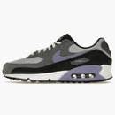 Nike Air Max 90 Photon Dust Light Thistle