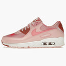 Nike Air Max 90 Pink Airbrush (women's)