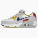 Nike Air Max 90 Pistachio Frost (women's)