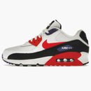 Nike Air Max 90 Raptors