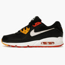 Nike Air Max 90 Raygun