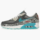 Nike Air Max 90 Rice Ball (women's)