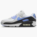 Nike Air Max 90 Royal Pulse (women's)