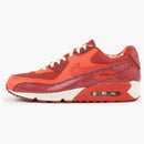 Nike Air Max 90 Steve Nash