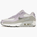 Nike Air Max 90 White Violet Frost (gs)