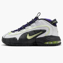 Nike Air Max Penny 1 Penny Story (gs)