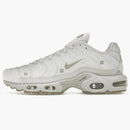 Nike Air Max Plus A-cold-wall Platinum Tint