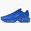 Nike Air Max Plus A-cold-wall House Blue