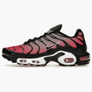 Nike Air Max Plus All Day