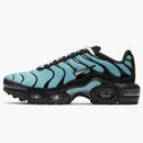 Nike Air Max Plus Aqua Black White Metallic Silver (gs)