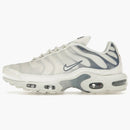 Nike Air Max Plus Ashen Slate (women's)