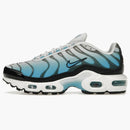 Nike Air Max Plus Ice (gs)