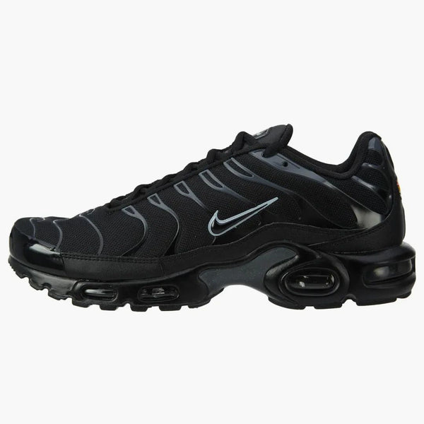 Nike Air Max Plus Black Pure Platinum