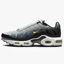 Nike Air Max Plus Black Bright Cactus (gs)