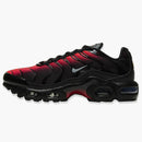 Nike Air Max Plus Black Crimson (gs)