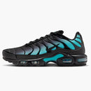Nike Air Max Plus Black Dusty Cactus