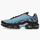 Nike Air Max Plus Black Hydrangeas (women's)