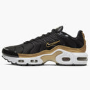 Nike Air Max Plus Black Metallic Gold (gs)