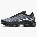 Nike Air Max Plus Black Particle Grey Vapour Green