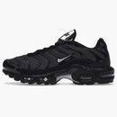 Nike Air Max Plus Black Suede Silver (women's)