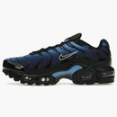 Nike Air Max Plus Black University Blue Chlorophyll Light Bordeaux (gs)