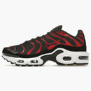 Nike Air Max Plus Bred (2021) (gs)