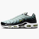 Nike Air Max Plus Bright Cactus