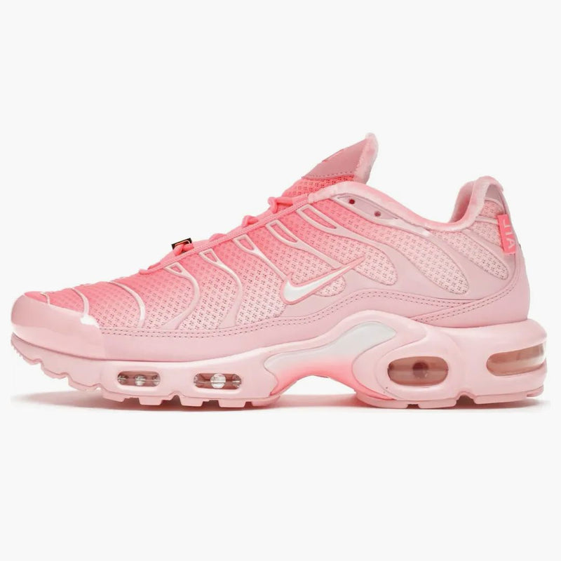 Nike Air Max Plus City Special Atl (women's)