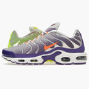Nike Air Max Plus Color Flip Pack Grape