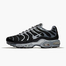 Nike Air Max Plus Cool Grey Wolf Grey