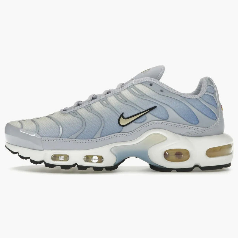 Nike Air Max Plus Daybreak (women's)