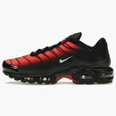 Nike Air Max Plus Deadpool