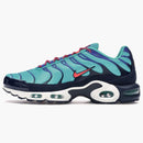 Nike Air Max Plus Discover Your Air