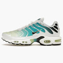Nike Air Max Plus Dusty Cactus Barely Volt (women's)