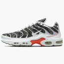 Nike Air Max Plus Essential Crater