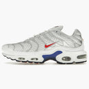 Nike Air Max Plus Euro Tour